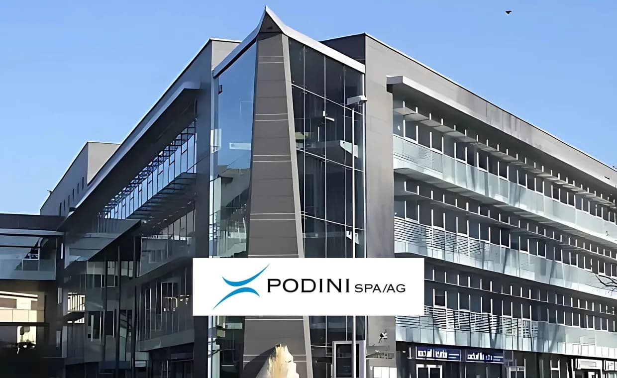 Case history – Temporary IT Manager per Podini