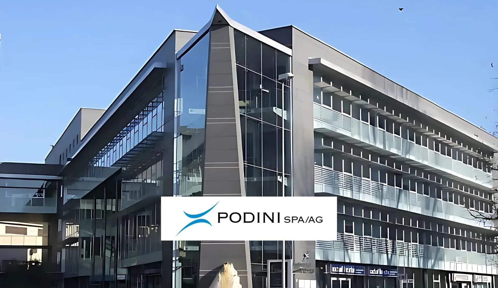 Case history – Temporary IT Manager per Podini